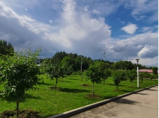 企業(yè)環(huán)境